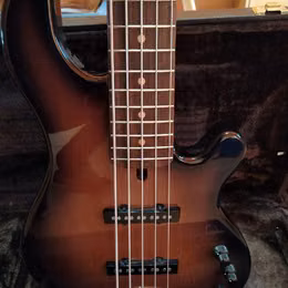 Lakland USA Dual J 5