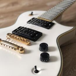 ESP 401 Seymour Duncan sh4 sh2 