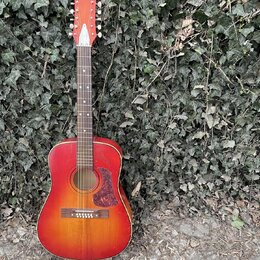 1976 Cremona Luby 12-Strunná akustika