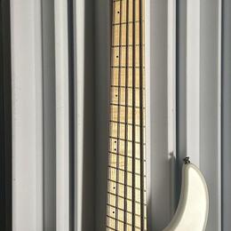 Dingwall NG2 Combustion 