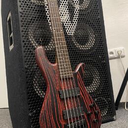 Spector NS Pulse Cinder Red + fishman fluence