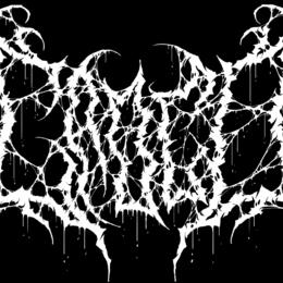 Kytara a vocals na deathcore/ death metal/ slam