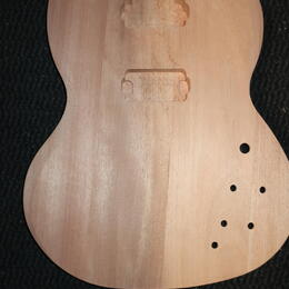 DIY SG typ