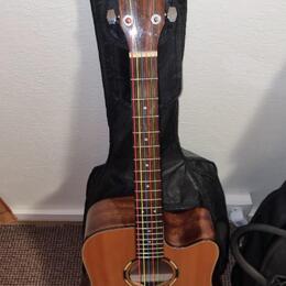 Washburn WLD10SCE Woodline - Elektroakustika (Masiv) + obal