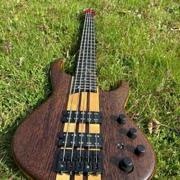 Custom bass 5 string´s (Miloš Kaiser)