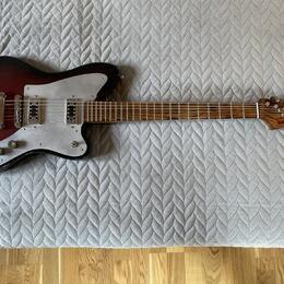Red Bird Gemini 