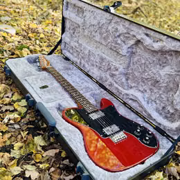 Fender Limited Edition American Pro Mahogany Telecaster DLX