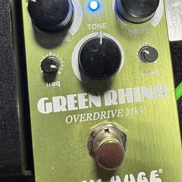 Dunlop Way Huge Green Rhino