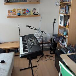 Klávesy s dynamikou úhozu Fox K280 + pedál + stojan