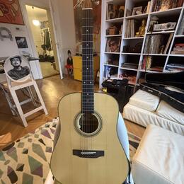 Zager Zad 50 Satin  USA