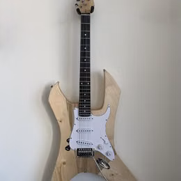 DIY netradičn&iacute; elektrick&aacute; kytara