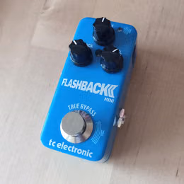 Delay TC Flashback Mini II