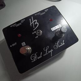 Harley Benton Custom Line Dual Loop Switch