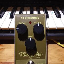 TC Electronic Honey Pot Fuzz