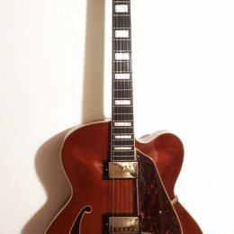 IBANEZ AF95-DA