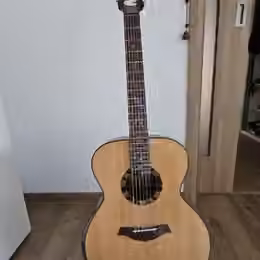 Dev&iacute;tistrunn&aacute; kytara