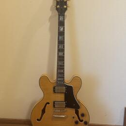 Fokus Guitar Semi-Hollow ES-335 style TOP stav, krásný javor