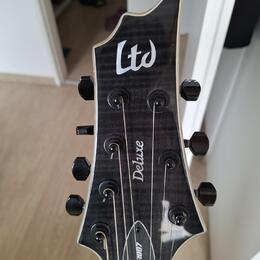 predam ESP LTD H-1007FM See Thru Black