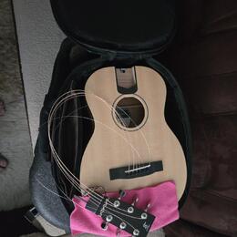Furch Little Jane 10SM