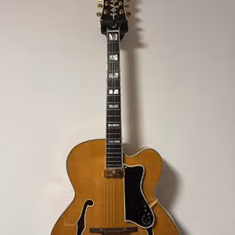 Epiphone Emperor Regent 1994 R series (Peerless)