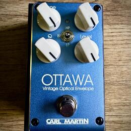 Carl Martin Ottawa