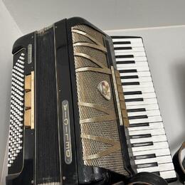 Harmonika Delicia