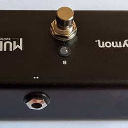 Strymon MULTIswitch Plus