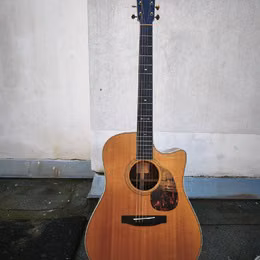 Furch Vintage 2 Dc-SR