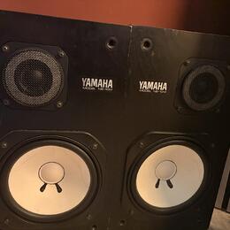 Yamaha NS-10m