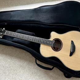 Yamaha APX 700 II NT