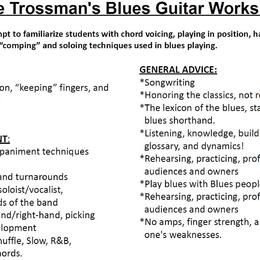 30-year professional offering Blues Guitar Lessons