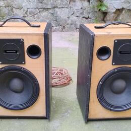 2x reprobedna 10 palců (4 ohmy)