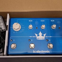 TC Electronic FLASHBACK TRIPLE