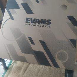 Evans 22" EQ3 Resonant Black