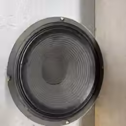 Celestion G12H 100 W 8 ohm 