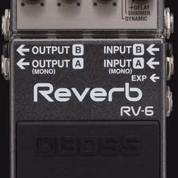Boss RV-6  Reverb ( cena : 100 eur )