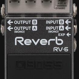 Boss RV-6  Reverb ( cena : 100 eur )