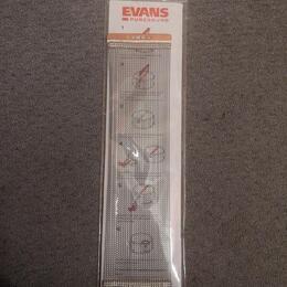  struník evans puresound
