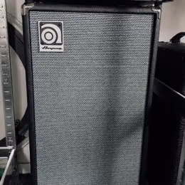 Ampeg SVT-210AV