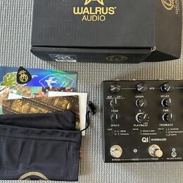 Walrus Audio Etherealizer - boutique multiefekt 