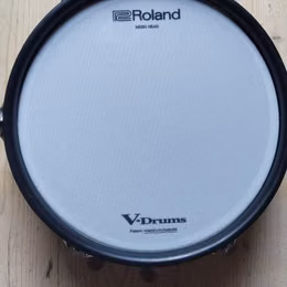 Roland PDA100L.