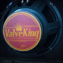 Reproduktor Peavey Valveking VK1216 12"