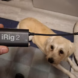 iRig 2