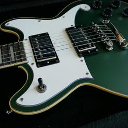 D'Angelico Premier Brighton Sherwood Green