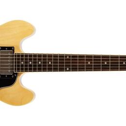 EPIPHONE DOT 339 NATURE (PRODÁNO)