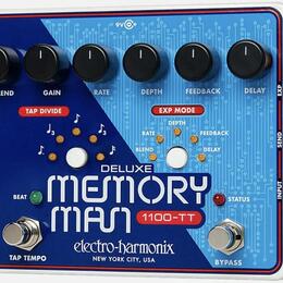Electro Harmonix Memory Man 1100 TT