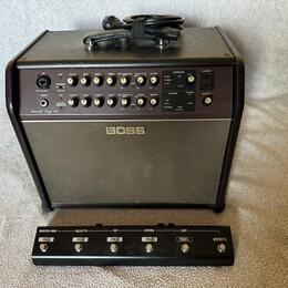 Boss Acoustic Singer Pro