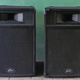 Peavey PRO15