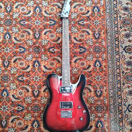 Fender Telecaster Custom FMT