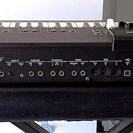 NUMA organ 2